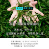 J2-【默认L,可联系客服选尺码M-XL可选】【高腰】【茶肌底裆】【收腹】【塑形塑腿收胯】小蛮腰【2月积分兑换】 商品缩略图4