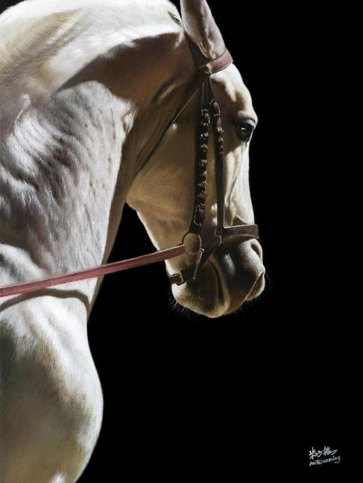 【签名版】钟书阁×米巧铭 | 鲜衣怒马《马》系列版画 商品图2