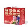 J椰子宇宙310ml*10蓝莓黑加仑+芭乐油柑礼盒 商品缩略图0