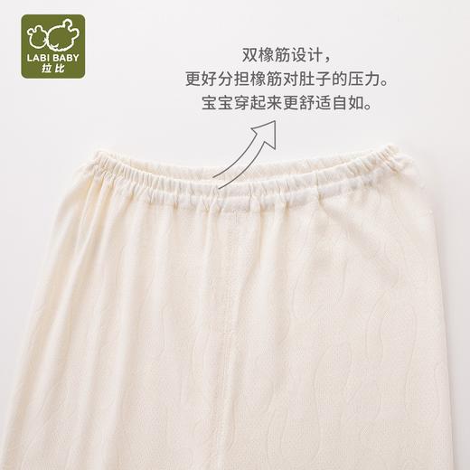 拉比内衣i5-0内衣海洋肩开服套装LXBA100202 商品图8