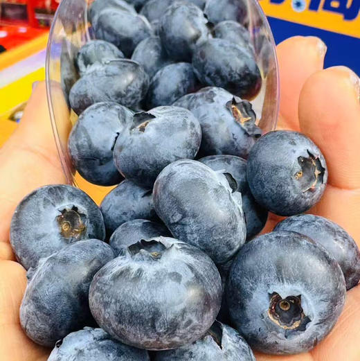 【蓝莓天花板｜空运到货】花香浓郁•18mm+•超甜脆爽云南L25蓝莓品种金砖6合1装200g×6盒（共1.2kg）✅ 果分足，嘎嘎绿。超新鲜。 商品图6