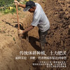 正安 河南焦作山药 霜降后采挖优质原材 肉质饱满纹理清晰颗粒状明显 脾胃虚弱温和养护 上班族茶饮家庭汤料日常食养 250g/罐 商品缩略图6