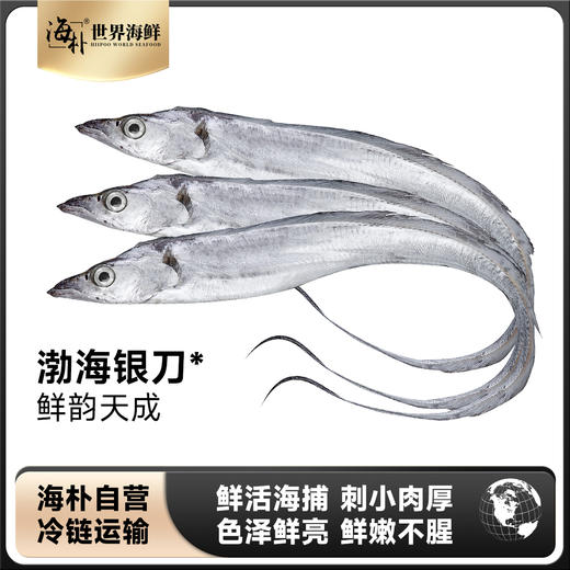 海朴  渤海刀4斤（含4条） 商品图1