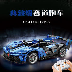 积木遥控车8743款-2.4G遥控赛玩具-纪念日百货门店同款169602461