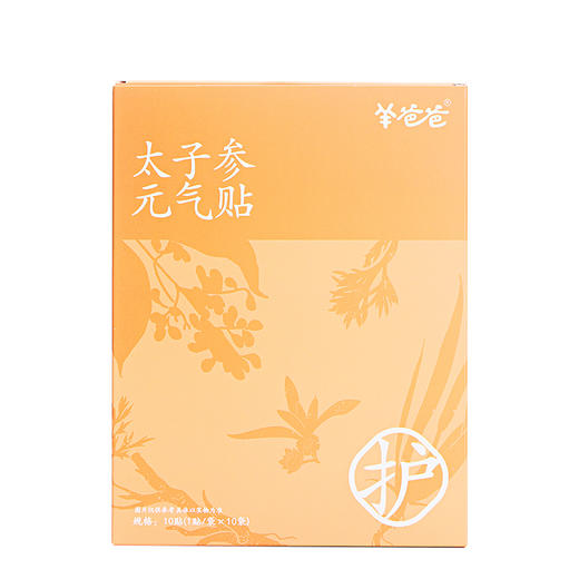 高壮壮系列 【太子参元气贴】考试季|草本敷贴 内养元气 给身体贴点底气 商品图9