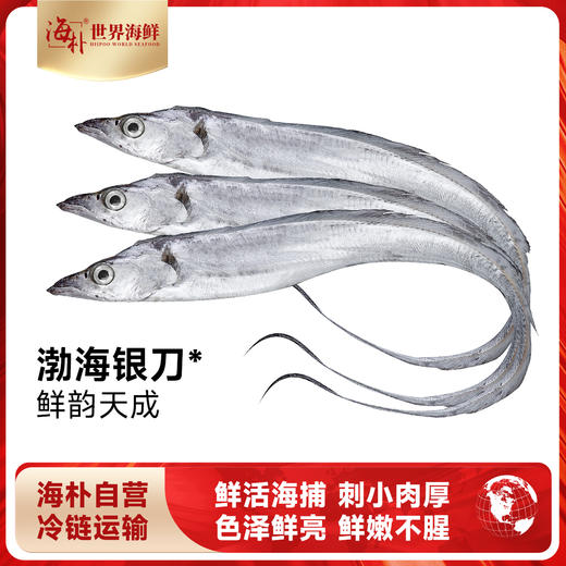 海朴  渤海刀4斤（含4条） 商品图2