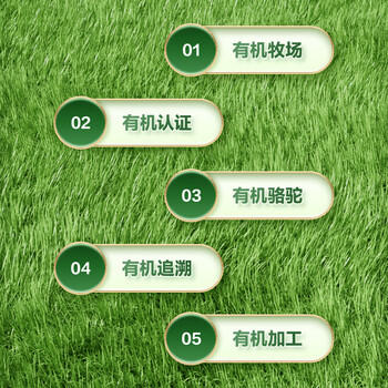 京东京造 有机纯骆驼乳粉300g 成人乳铁蛋白年货节送礼 /水饮冲调 /成人奶粉 /驼奶粉 商品图3