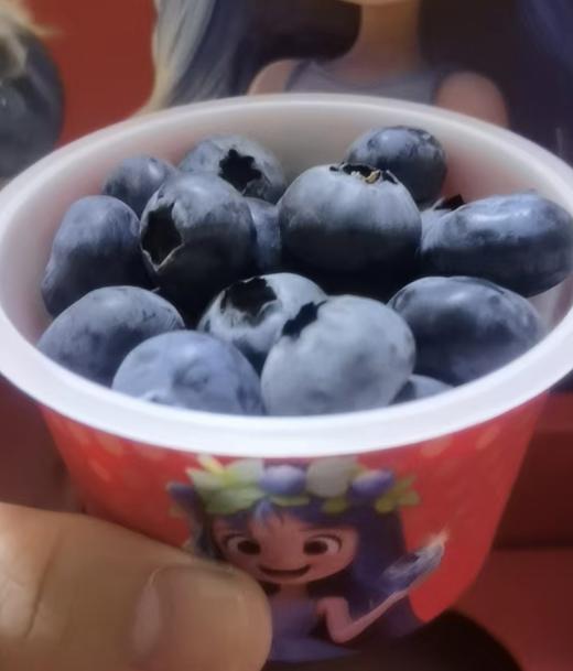 每年只有春节前才有的杯装花香蓝莓，独家品种，口感毋庸置疑的好吃 商品图0