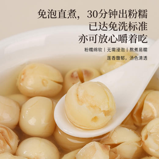 【白莲子 】湖南湘潭产地去芯莲子250g/罐  优质原材 甘平下火降燥温养口感粉糯清甜  商品图7