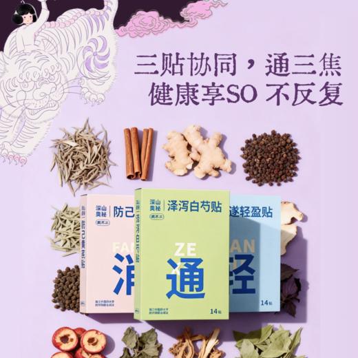 【大餐救星 全身贴贴套组】白芍腹贴+黄芪腿贴+轻盈腰贴（2个套组可选「14贴/盒」轻消通）Y 商品图2