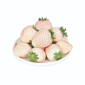 白玫瑰草莓(500±50g)