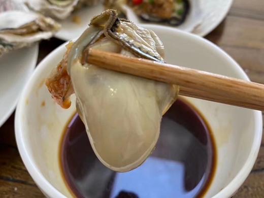 海阳鲜肥生蚝 商品图4