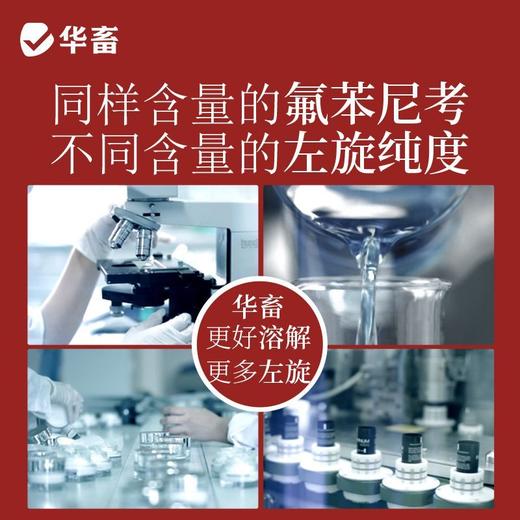 华畜兽药氟苯尼考粉兽用多西环素猪呼吸道小鸡禽感冒浆膜炎肠炎药 商品图2