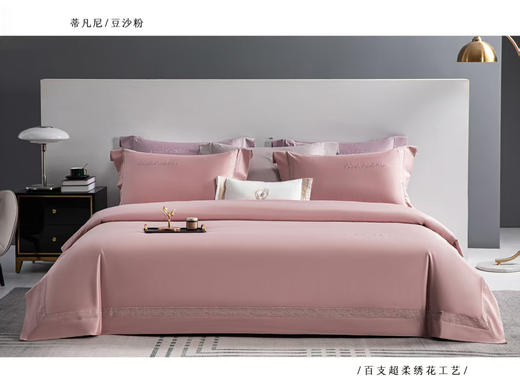 100支镂空贴布绣-蒂凡尼 商品图4