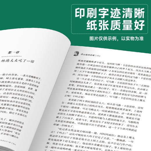 班班26春六年级《绿山墙的安妮》赠导读单 商品图2