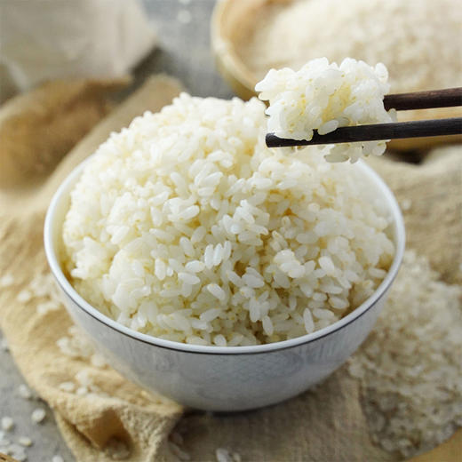 和粮溢田 有机胚芽米1kg 商品图3