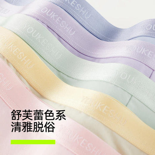 【新品上新】有棵树100支新疆长绒棉10A级抗菌纯棉加长档女士三角裤3条装-U3353 商品图2