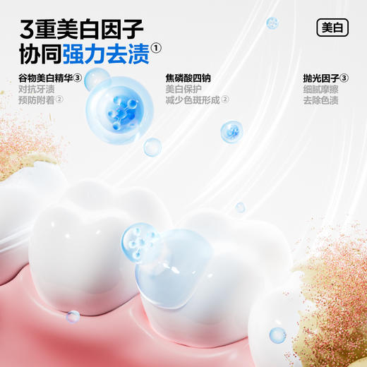 SE-1含氟美白清新牙膏-180g海洋薄荷 商品图3