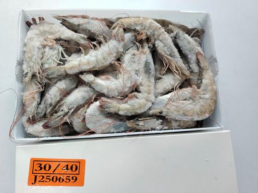 【桑塔牌白虾(30-40头)】 产地：厄瓜多尔 净重1.65kg，98元/盒 商品图1