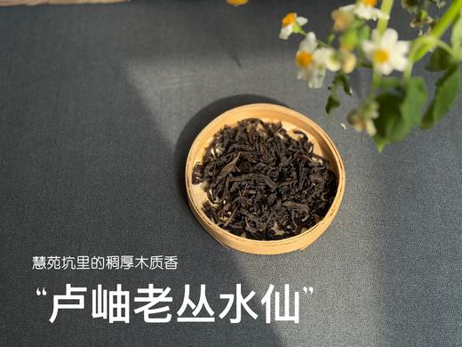 【好茶来了】卢岫老丛水仙，慧苑坑里稠厚队伍中的，一枝独秀，尽是木质芬芳！ 商品图5