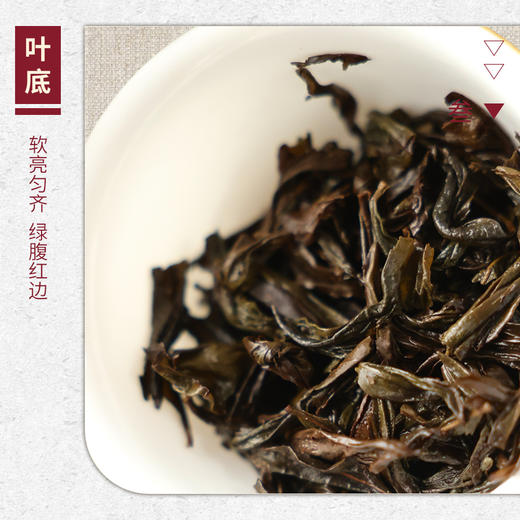 【山纯限品】2026年045鹞子窠黄观音17g 商品图4