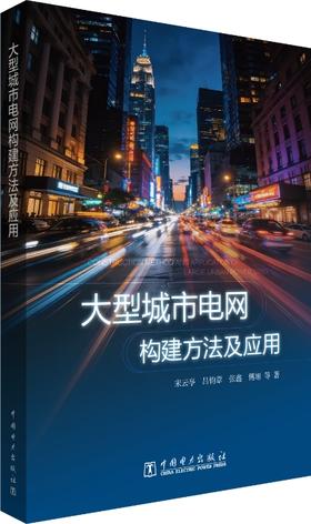 大型城市电网构建方法及应用