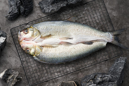 【十堰主城区包邮】楚食比亚 优优翘嘴鲌真空速冻锁鲜翘嘴鱼 3条/5条 （每条1.2~1.4斤） 商品图2