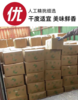 【SLSY】新货熟干虾皮整箱淡干虾米无盐微咸商用批发新鲜食用海鲜干货  9.3斤 商品缩略图2