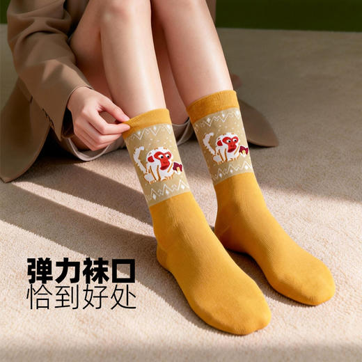 帆书文创·万物读书 棉袜（1盒4双） 商品图5