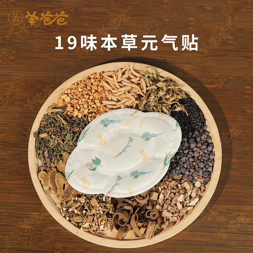 高壮壮系列 【太子参元气贴】考试季|草本敷贴 内养元气 给身体贴点底气 商品图3