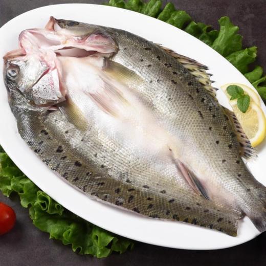 开背海鲈鱼【开袋解冻即烹，三去处理，去腮去鳞去内脏，免杀免洗免调料】 商品图4