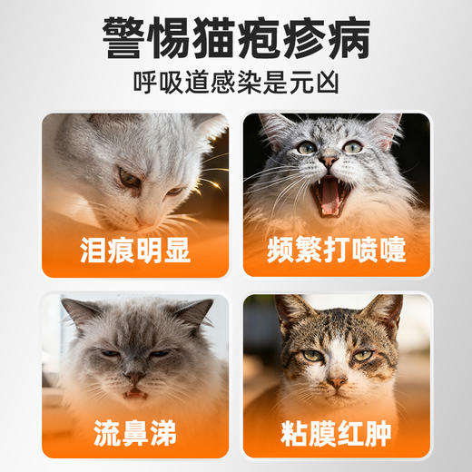 犬猫通吃【赖氨酸营养膏120g】强体抗病毒.爪爪博士赖氨酸营养膏60g猫狗多维速补防范病毒侵害减缓疱疹病毒繁殖猫呼吸道感染必吃-远离猫鼻支.滋润皮肤亮泽毛发宠物营养补充剂 商品图1