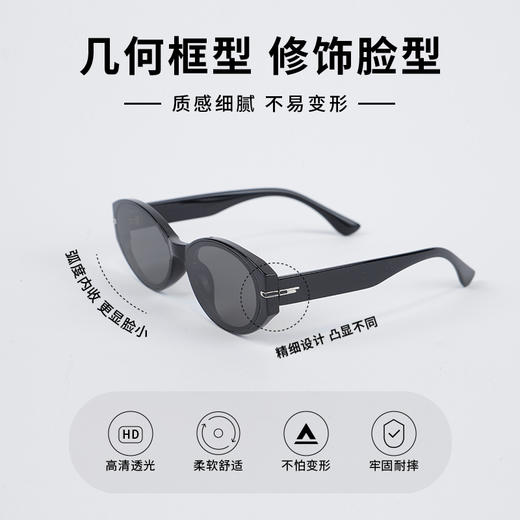 ZYN13020树脂太阳镜-纪念日百货门店同款169097709 商品图1