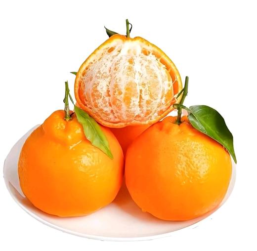 粑粑柑 商品图1