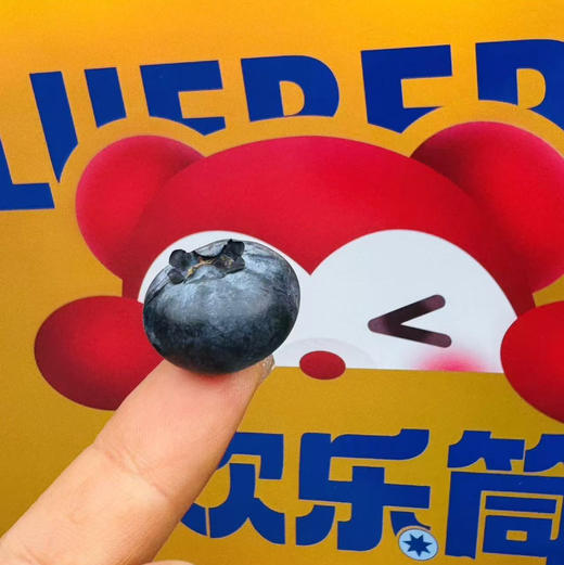【蓝莓天花板｜空运到货】花香浓郁•18mm+•超甜脆爽云南L25蓝莓品种金砖6合1装200g×6盒（共1.2kg）✅ 果分足，嘎嘎绿。超新鲜。 商品图7