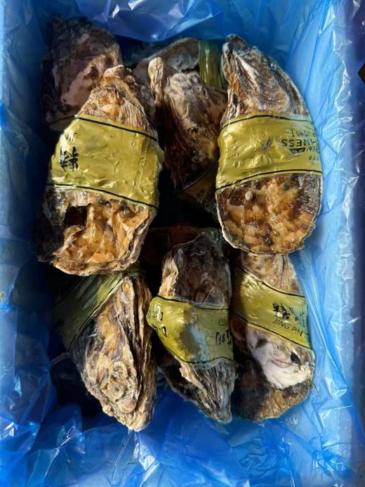 海阳鲜肥生蚝 商品图7