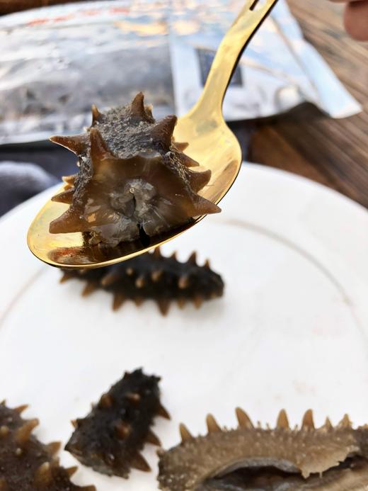 春节礼盒·鲜食海参  没有冰衣保水剂 口感劲道 肉质肥厚 商品图3