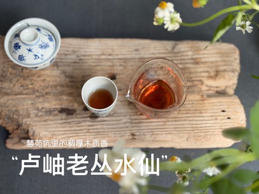 【好茶来了】卢岫老丛水仙，慧苑坑里稠厚队伍中的，一枝独秀，尽是木质芬芳！ 商品图14