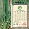 【基地直发】有机葱姜蒜组合930g装有机认证0农残包邮 商品缩略图1