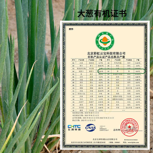 【基地直发】有机葱姜蒜组合930g装有机认证0农残包邮 商品图1