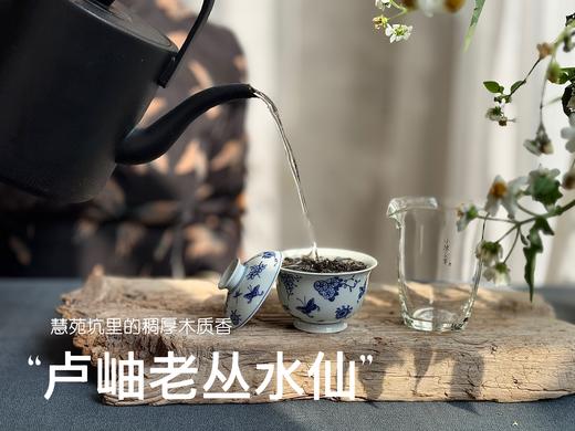 【好茶来了】卢岫老丛水仙，慧苑坑里稠厚队伍中的，一枝独秀，尽是木质芬芳！ 商品图8