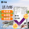 华畜 活力虾 吃得多 长得快 体质健 商品缩略图0