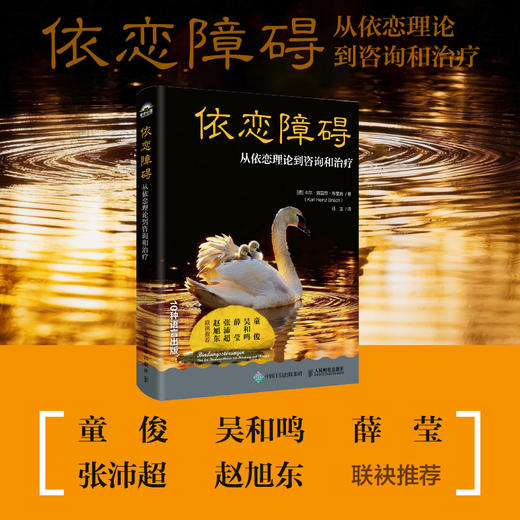 依恋障碍：从依恋理论到咨询和治疗心理咨询师书籍心理学书籍依恋关系焦虑抑郁 商品图0