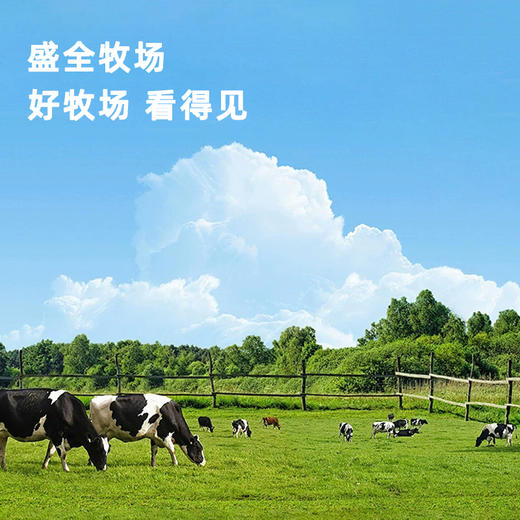 【顺丰冷链】希腊冷萃干噎酸奶干噎冷萃酸奶网红干嚼奶酪罐子厚酸奶 商品图3