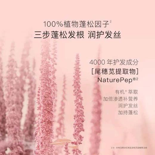 【新年礼物】贝德美蓝甘菊清爽洗护四件套（ 蓝甘菊儿童洗发露520ml+蓝甘菊儿童沐浴露335ml+角蛋白护发素20ml+角蛋白护发素20ml） 商品图3