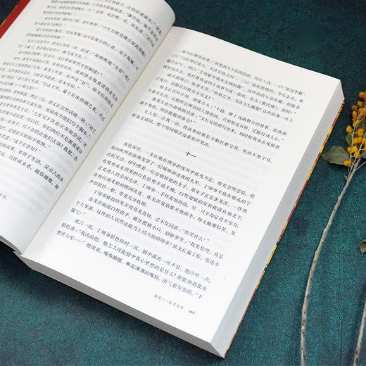 狂生：徐渭传奇 以电视剧《江南怪杰徐文长》为框架创作的长篇小说 商品图3