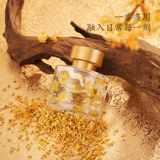 【木兰专享】宋朝 月下赴桂系列香薰 | 传统与艺术的融合、承载吉祥寓意、送礼佳选、无火香薰、蜡烛、扩香石多种选择 商品图1