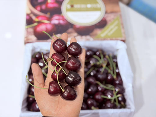 新西兰🇳🇿28-30mm科迪亚红车🍒（4斤装） 商品图2