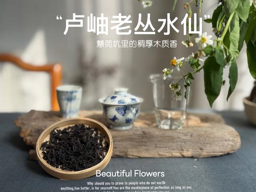 【好茶来了】卢岫老丛水仙，慧苑坑里稠厚队伍中的，一枝独秀，尽是木质芬芳！ 商品图3