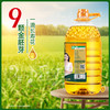 长寿花金胚玉米油5L*2+400ml*2 商品缩略图4